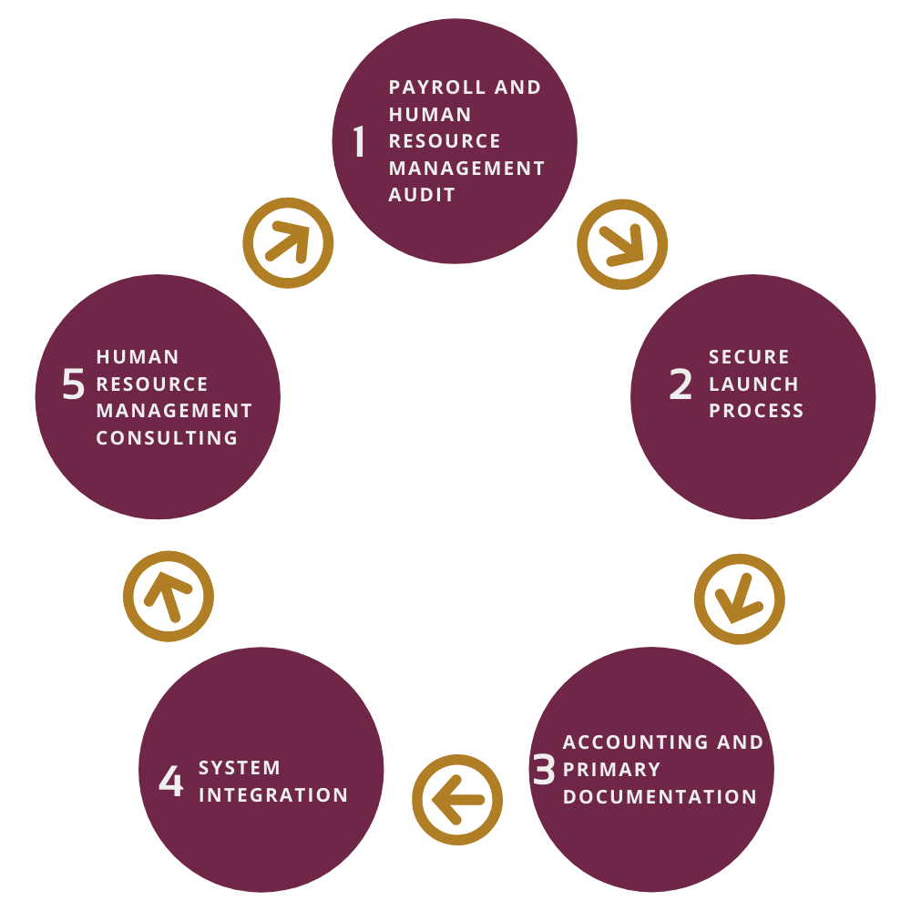 APEX Service Delivery Cycle